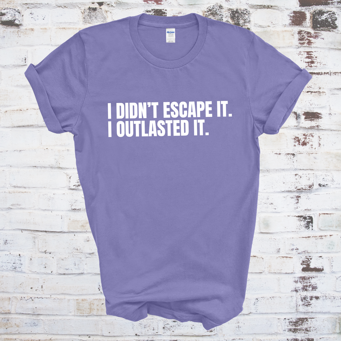 I Didn't Escape It. I Outlasted It. T-Shirt