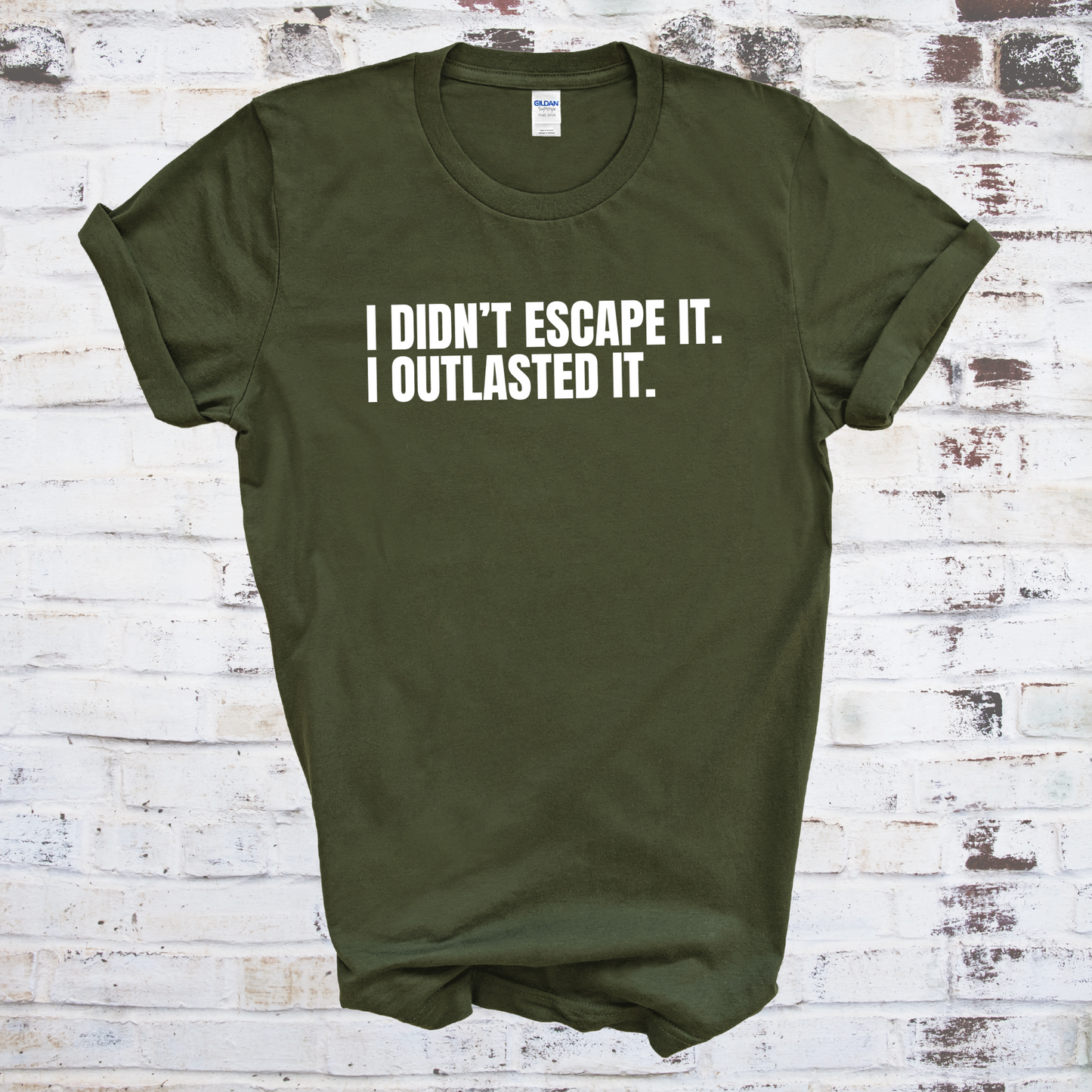 I Didn't Escape It. I Outlasted It. T-Shirt