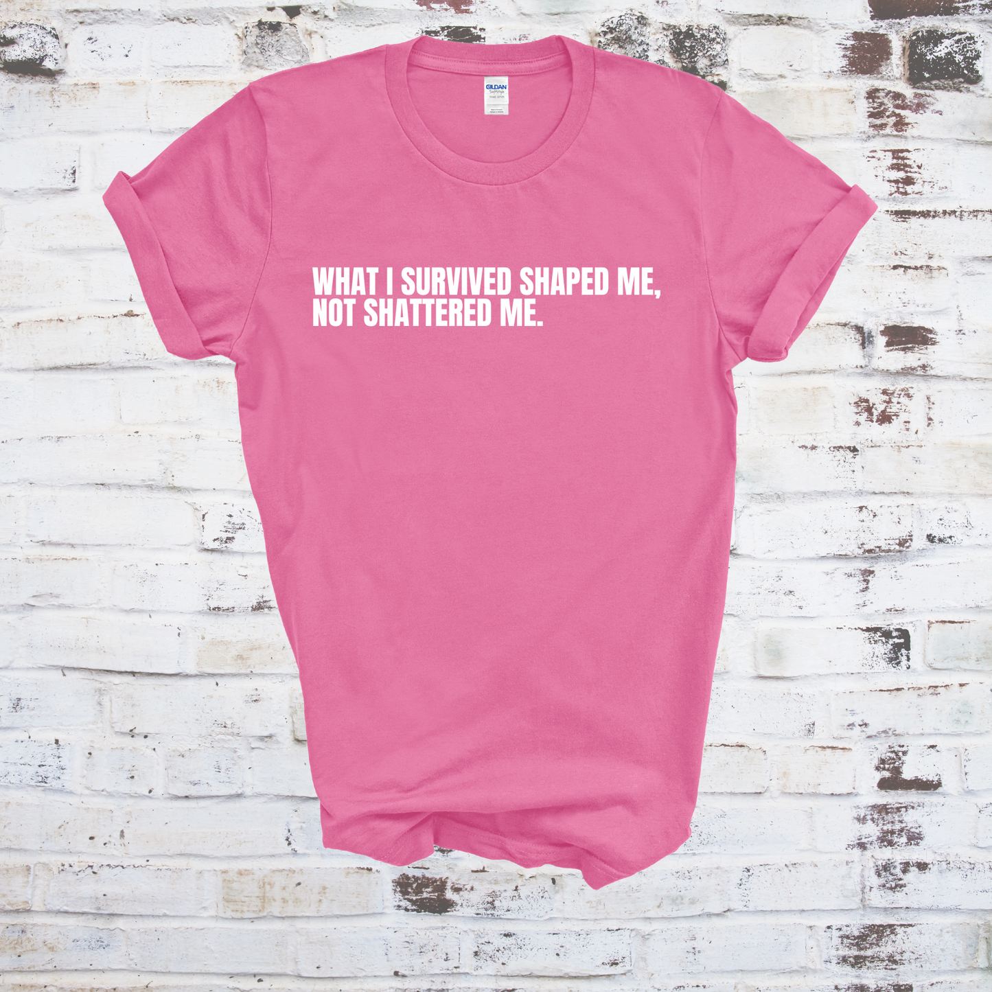 What I Survived Shaped Me Not Shattered Me T-Shirt