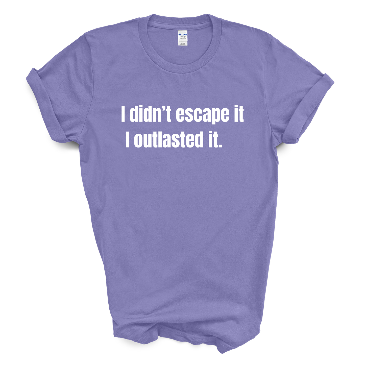 I Didn't Escape It. I Outlasted It. T-Shirt