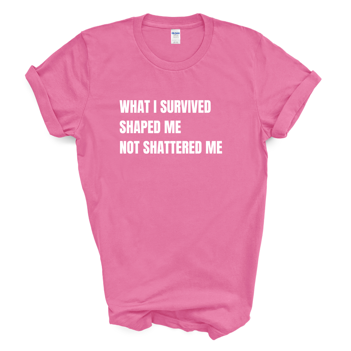 What I Survived Shaped Me Not Shattered Me T-Shirt