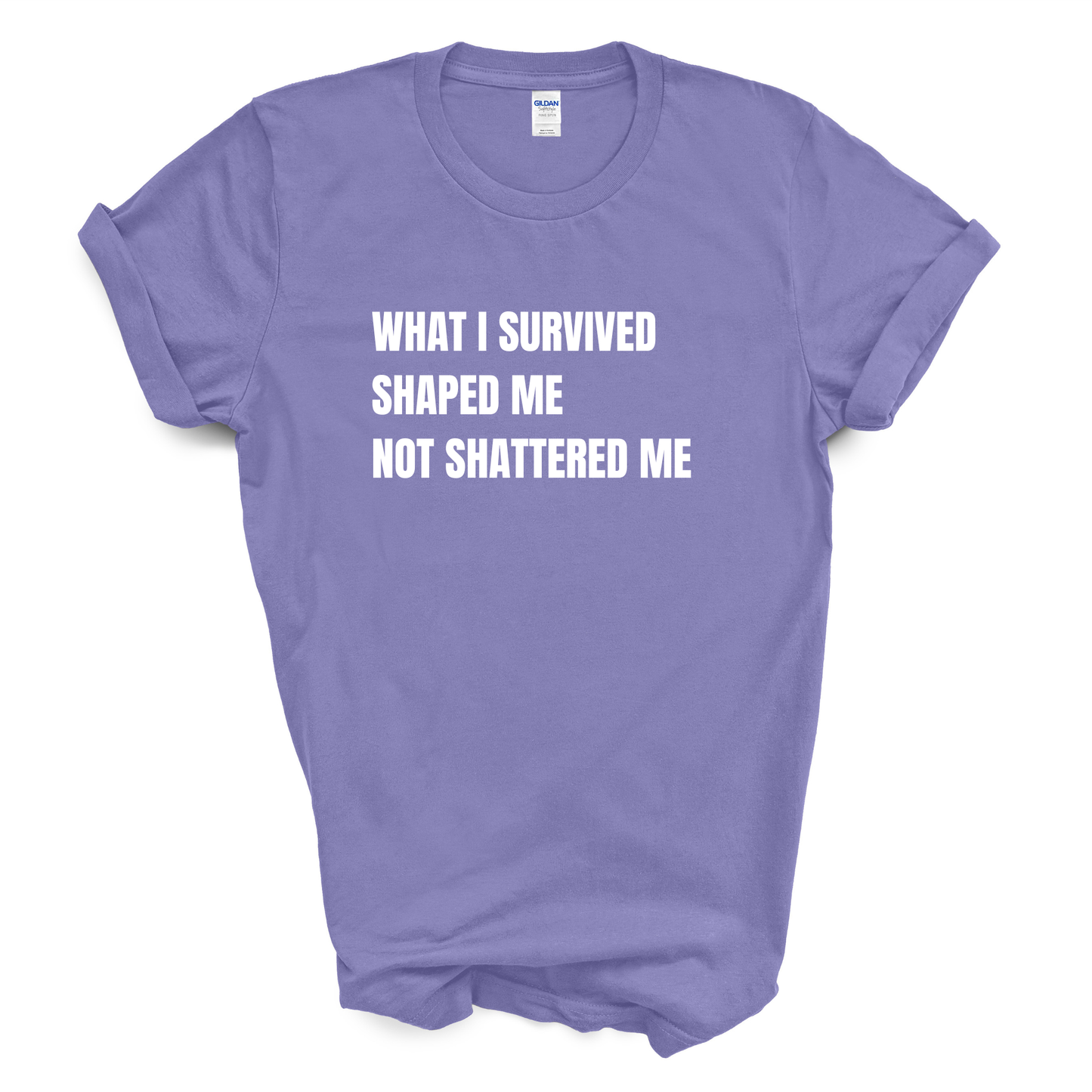What I Survived Shaped Me Not Shattered Me T-Shirt